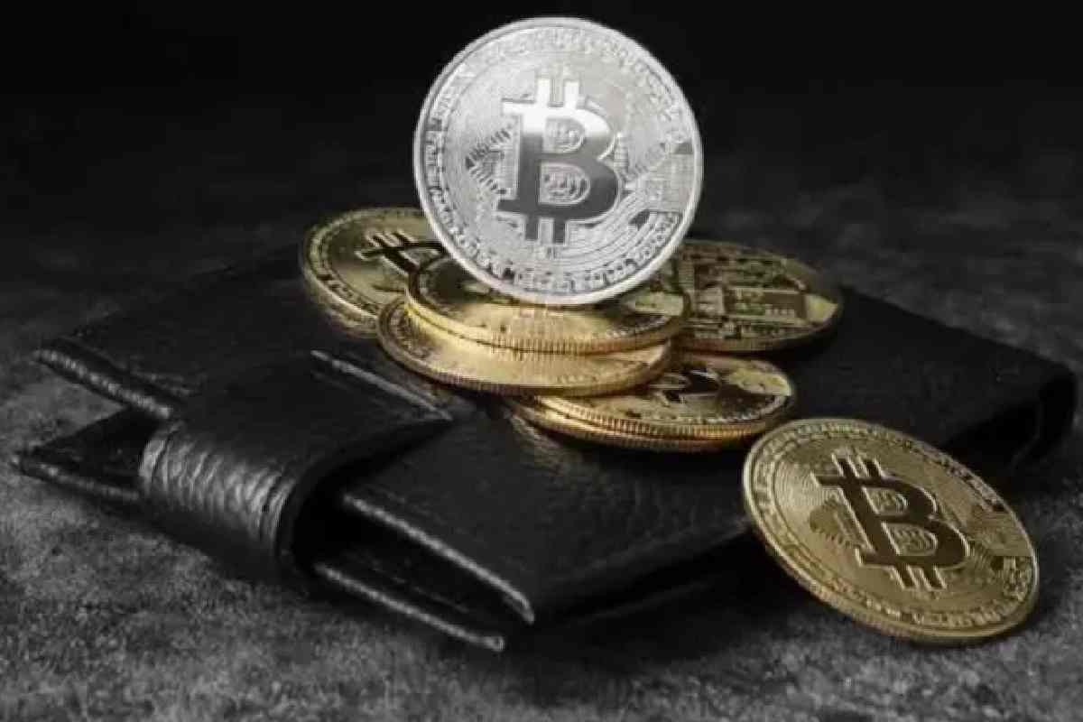 eCrypto1.com-Crypto-Wallets.jpg